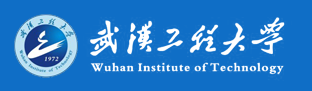 武汉工程大学2019录取结果查询