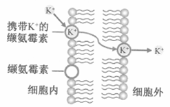 2023年1月浙江普通高校招生选考生物试题及答案
