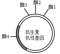 2023年山西高考生物试题及答案