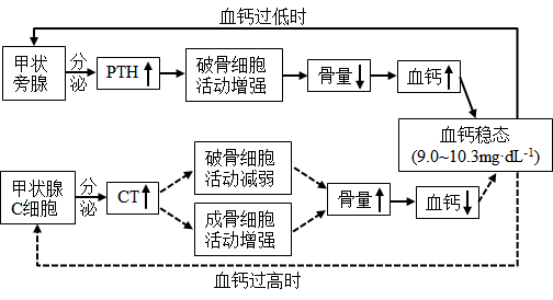 2023年湖南高考生物试题及答案