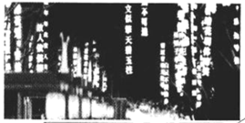 2023年浙江温州中考语文试题及答案