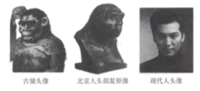 2023年湖南邵阳中考历史真题及答案