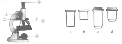 2023年湖南邵阳中考生物试卷及答案