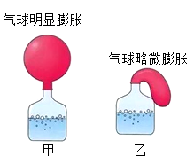 2024年内蒙通辽中考生物试题及答案