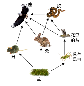 2024年陕西中考生物学试题及答案