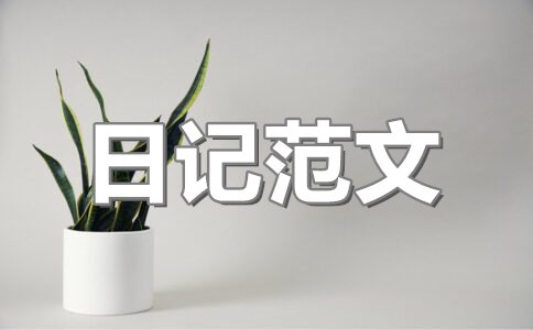 关于圣诞节日记600字范文(5篇)